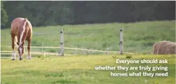  ??  ?? Everyone should ask whether they are truly giving
horses what they need