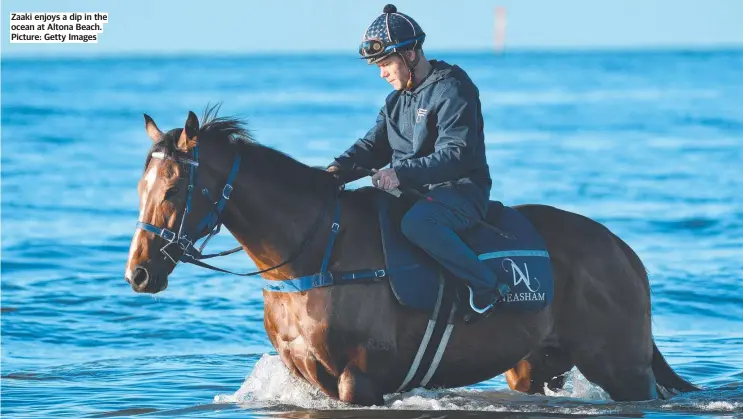  ?? Picture: Getty Images ?? Zaaki enjoys a dip in the ocean at Altona Beach.