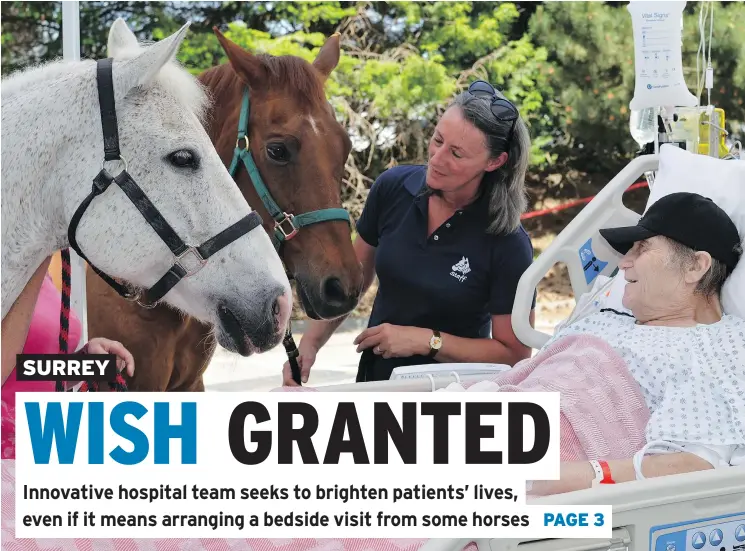  ??  ?? Surrey Memorial Hospital patient Jim Clarkson, a former volunteer for the Pacific Riding for Developing Abilities in Langley, gets a bedside visit from horses Alex and Dodger.