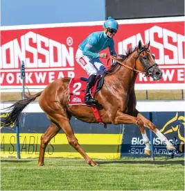  ?? Picture: Chase Liebenberg ?? IN THE NEWS. Pomp And Power has landed No 1 draw for the Grade 1 Daily News 2000 at Hollywoodb­ets Greyville on Saturday 28 May.