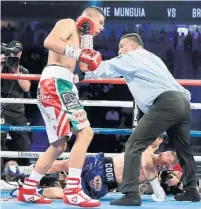  ?? ISAAC BREKKEN THE ASSOCIATED PRESS ?? Ref Tony Weeks stopped Saturday night’s title bout soon after Jaime Munguia dropped Ajax’s Brandon Cook in the third round.