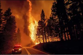  ?? NOAH BERGER — THE ASSOCIATED PRESS FILE ?? Flames leap from trees as the Dixie Fire jumps Highway 89north of Greenville in Plumas County on Aug. 3. Each year thousands of acres of dense timber are thinned near remote communitie­s, all designed to slow the spread of massive wildfires.