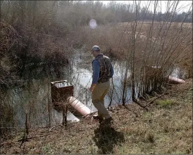  ?? Arkansas Democrat-Gazette/SCOTT MORRIS ?? Joel Whicker checks on a flooded section of land donated to the U.S. Department of Agricultur­e’s Wetlands Reserve Program during a tour of the property last month.