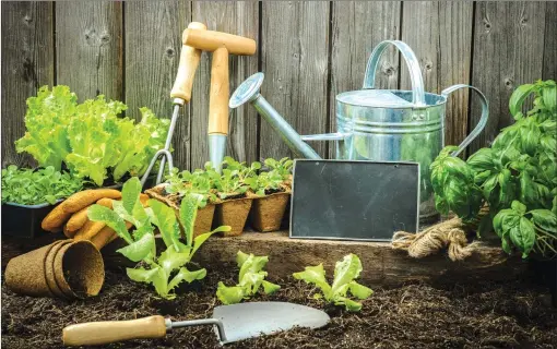  ??  ?? Gardening on a tight budget is actually much less of a hurdle than you may think. There are ingenious ways to curtail any budgeting challenges that may be limiting your field of vision. (Dreamstime)