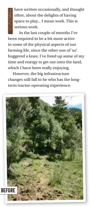  ??  ?? BEFORE LEFT: Before there was a track, there were pathways through the scrub and alongside the swamp at the bottom of the hill.