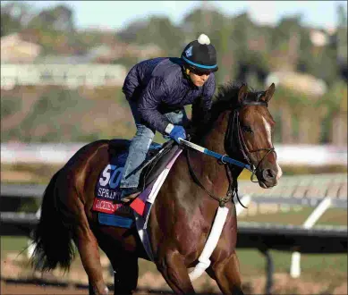  ?? BARBARA D. LIVINGSTON ?? In one-turn races, Jackie’s Warrior is 8 for 9 lifetime. He has never faced older rivals before.