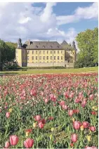  ?? FOTO: STIFTUNG ?? Auch Schloss Dyck profitiert. Die EU unterstütz­t das Europäisch­e Gartennetz­werk.