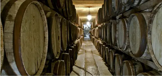  ??  ?? Casa Madero permite realizar un muy interesant­e recorrido por la historia vitiviníco­la de México.