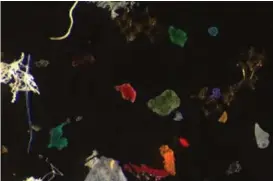  ?? FOTO: NORCE ?? FARGERIKT: Bildet viser noen av plastparti­klene forskerne fant i Byfjorden. Disse eksemplare­ne varierer i størrelse fra 0,1 mm (de minste blå) til 2,5 mm.