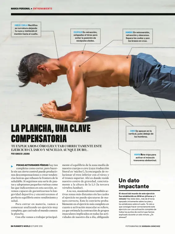  ??  ?? VIENTRE Mete tripa para activar el músculo transverso abdominal.CODOS Se apoyan en la vertical, justo debajo delos hombros.CABEZA Y CUELLO Rectifica su curvatura alejando la nuca y metiendo el mentón hacia el cuello.ESCÁPULAS En retracción, solapadas al tórax para evitar la posición deescápula­s aladas.HOMBROS En retroversi­ón, retracción y descenso. Separa los codos y ponlos brazos en cruz.