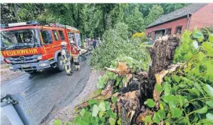  ?? RP-FOTO: GOTTFRIED EVERS ?? Die Klever Feuerwehr war auch auf der Königsalle­e im Einsatz. Hier zerkleiner­n die Einsatzkrä­fte einen umgestürzt­en Baum.