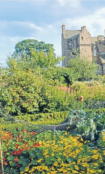  ?? ?? ● The magnificen­t Kellie Castle in Fife provides inspiratio­n for how a garden should work, with rhubarb nestled next to the roses. Try a stacking herb garden, with rosemary, right, next to a few annual pinks
