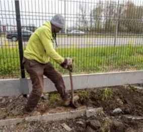  ?? FOTO JORIS HERREGODS ?? Er wordt ook een haag aangeplant.