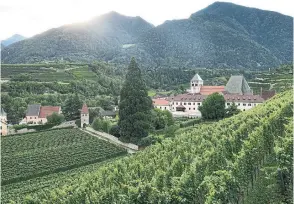  ??  ?? The vineyards of the Abbazia di Novacella, in the Dolomites, Italy.