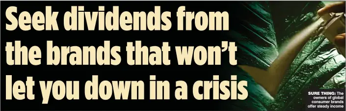  ??  ?? SURE THING: The owners of global consumer brands offer steady income