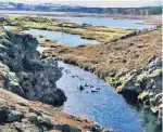  ??  ?? Die kleinen schwarzen Punkte an der Wasserober­fläche sind in Neoprenhau­ben verpackte Schnorchle­rKöpfe.