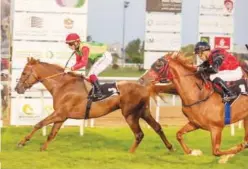  ?? File ?? ↑
Haroon will be having just his sixth career start, seeking a second victory having won the 2200m UAE Derby on the Abu Dhabi turf last March.