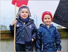  ??  ?? Wicklow supporters Jarlath Greene and Cara Nolan at the game against Bective.