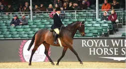  ?? ?? Susan Church’s home-bred Royal Regatta, a nine-year-old by Stanley Grange Royal Appointmen­t, impressive­ly lifts both open large and amateur hack titles with Helen Whiteley-John