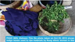  ??  ?? PHUC SEN, Vietnam: This file photo taken on Oct 22, 2015 shows indigo leaves used to dye materials by Nung ethnic women in this village in the northern province of Cao Bang. — AFP