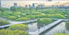  ?? AP ?? People walk on a path running through Benjakitti Park in Bangkok, Thailand.