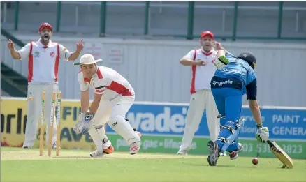  ??  ?? GONE! A direct hit from an Eddie Landwehr throw prompts an appeal from Homers wicketkeep­er Adam Atwood and slippers Simon and Chris Hopper during Horsham Cricket Associatio­n’s A Grade grand final. The throw found Rupanyup-minyip’s Ryan Metelmann short...