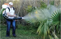  ??  ?? HOUSTON: In this Feb 10, 2016, photo, Darryl Nevins, sprays a backyard to control mosquitoes. — AP