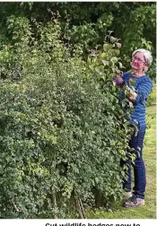  ??  ?? Cut wildlife hedges now to make a better habitat