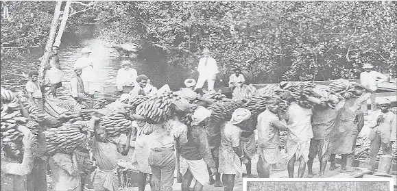 Labourers on strike - PressReader