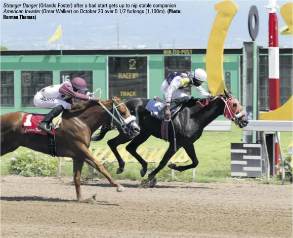  ?? Norman Thomas) (Photo: ?? Stranger Danger (Orlando Foster) after a bad start gets up to nip stable companion American Invader (Omar Walker) on October 20 over 5 1/2 furlongs (1,100m).