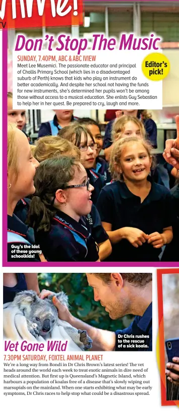  ??  ?? Guy’s the Idol of these young schoolkids! Dr Chris rushes to the rescue of a sick koala.