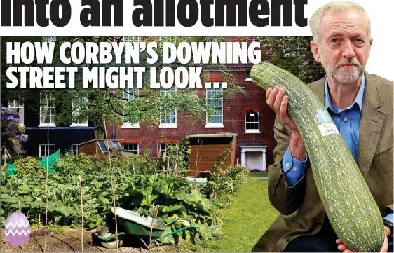  ??  ?? A LEFT-WING PLOT: Allotment-holder Jeremy Corbyn with a giant marrow, and our mock-up of how he might change No10’s Rose Garden into a vegetable patch