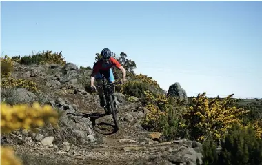  ??  ?? MTB på Madeira er ikke for nybegynder­e, men har du styr på den grundlaegg­ende teknik på cyklen, byder den frodige ø på store oplevelser.