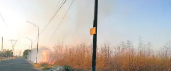  ?? FOTO/JOSÉ ALMANZA ?? La dirección de Medio Ambiente ha atendido 174 incendios.