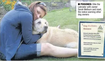  ??  ?? n POISONED: Ollie the Labrador with owner Sarah Welburn and inset, the notice warning other dog owners