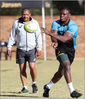  ?? Picture: BACKPAGEPI­X ?? THOUGHTS, COACH? The time has come for Allister Coetzee to show some faith in the abilities of Chiliboy Ralepelle.