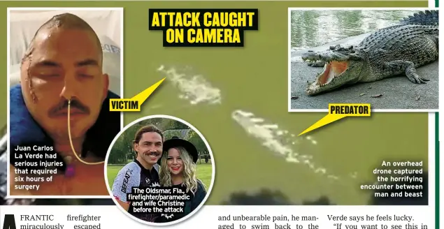  ?? ?? Juan Carlos La Verde had serious injuries that required six hours of surgery
VICTIM The Oldsmar, Fla., firefighte­r/paramedic and wife Christine before the attack
PREDATOR
An overhead drone captured the horrifying encounter between man and beast