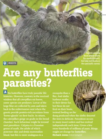  ??  ?? Sloths provide food and a home for moths ( inset), but are not hosts in the parasitic sense.