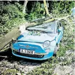  ??  ?? Totalschad­en in Bilk – der Fiat 500 wurde von dem Baum zertrümmer­t.