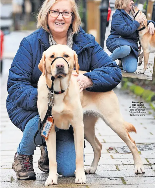  ?? ?? We’ve got this licked Golden girl Guide Dog-in-training Cally, with fosterer Catherine Irvine