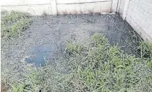  ?? Picture: SUPPLIED ?? SLUDGE: An Amalinda resident is battling sewage in her yard.