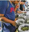  ?? AP FILE PHOTO ?? A customer takes a sniff from a selection of marijuana strains in October at a cannabis festival in Adelanto, Calif.