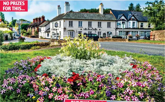  ?? ?? NO PRIZES FOR THIS...
Dazzling display: A traditiona­l flower bed in East Budleigh, Devon, planted for Britain in Bloom