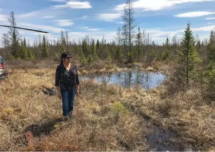  ?? PAUL CHAKASIM/MOOSE CREE ?? Moose Cree First Nation Chief Patricia Faries says the northern Ontario community is united in opposition to NioBay Metal Inc.’s drilling plans.