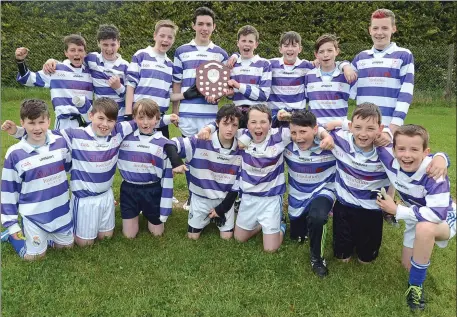  ??  ?? Kilbrin winners over Cullen in the Duhallow Schools Boys 10 aside Football Final. Picture John Tarrant