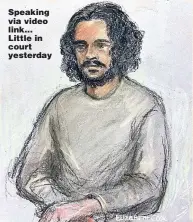  ?? Picture: JONATHAN BUCKMASTER/PA ?? Speaking via video link... Little in court yesterday