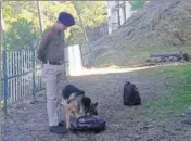  ??  ?? A policemen training a member of the dog squad of the Himachal Pradesh Police at Chaura Maidan. HT PHOTO