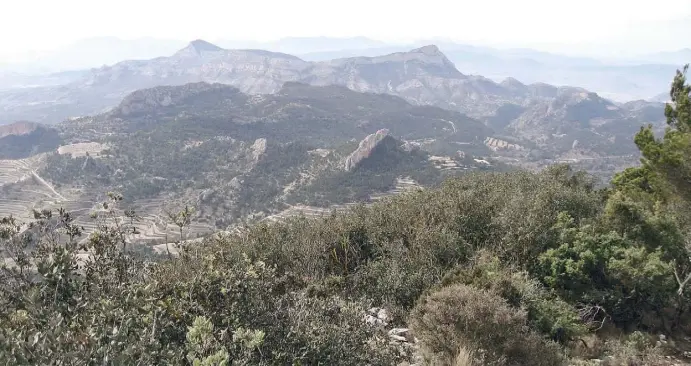  ??  ?? Der Naturpark Maigmó mit seiner beeindruck­enden Berglandsc­haft bildet die natürliche Trennlinie zwischen der Foia de Castella und dem Vinalopó-Tal.