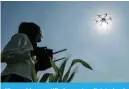  ?? ?? /PTHUZOP H JLY[PÄLK YLTV[L WPSV[ [YHPULK under the government-backed “Drone Sister” program, operates a drone to spray SPX\PK MLY[PSPaLY V]LY H MHYT