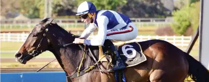  ?? Picture: JC Photograph­ics ?? CONSISTENT. Way Of The World has won three of her last four starts and could prove hard to beat in Race 7 at the Vaal tomorrow.